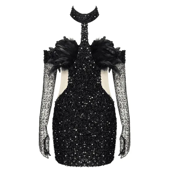 Swan Turtleneck Feather Mini Dress