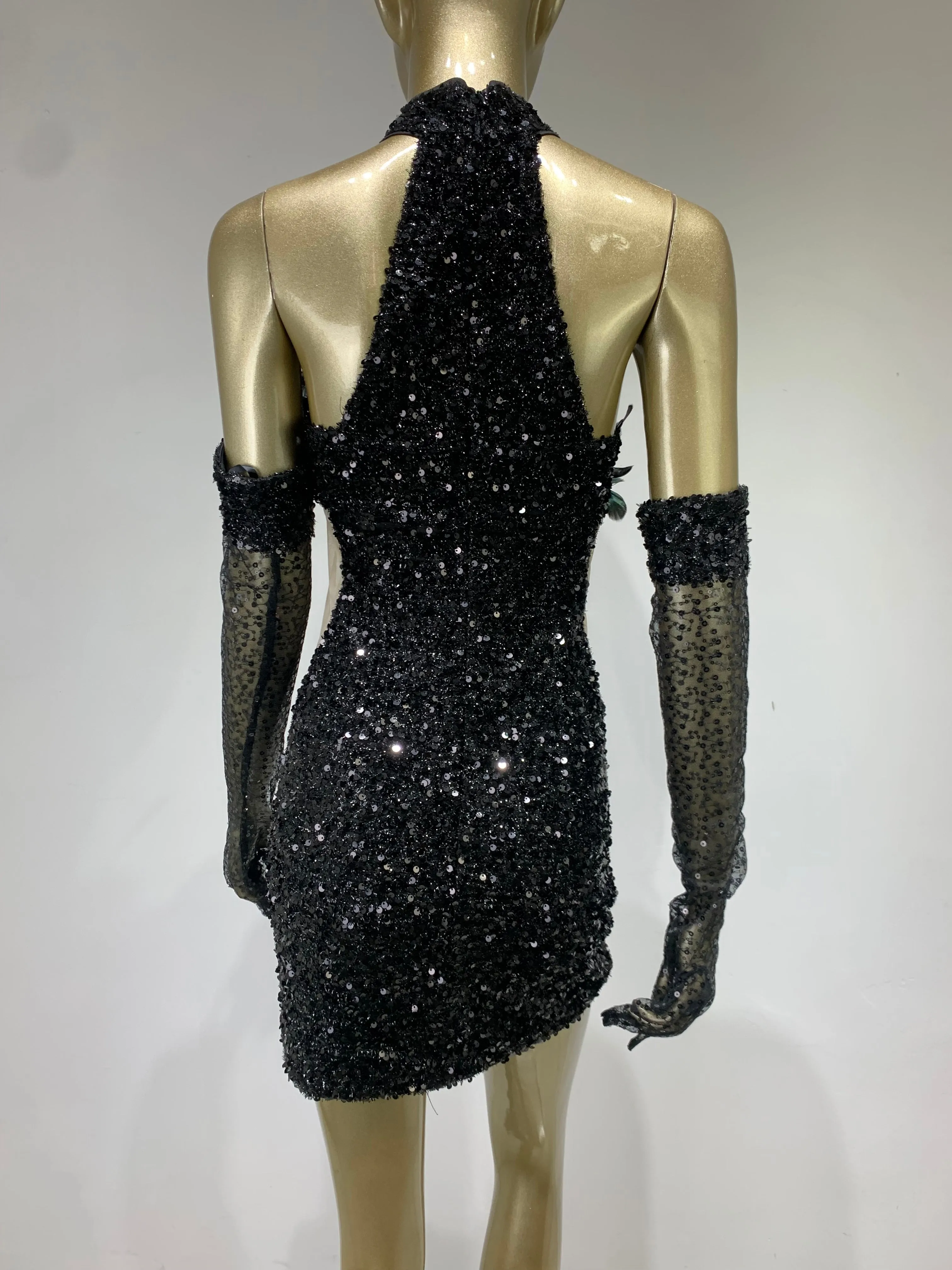 Swan Turtleneck Feather Mini Dress